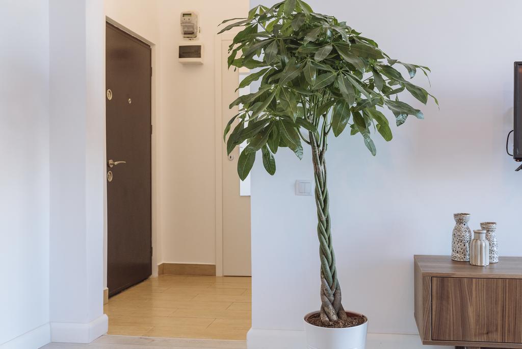Apartament Universitate Heart View Bucureşti